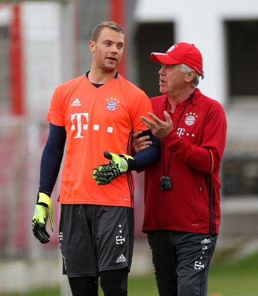 球迷基础庞 球迷基础庞