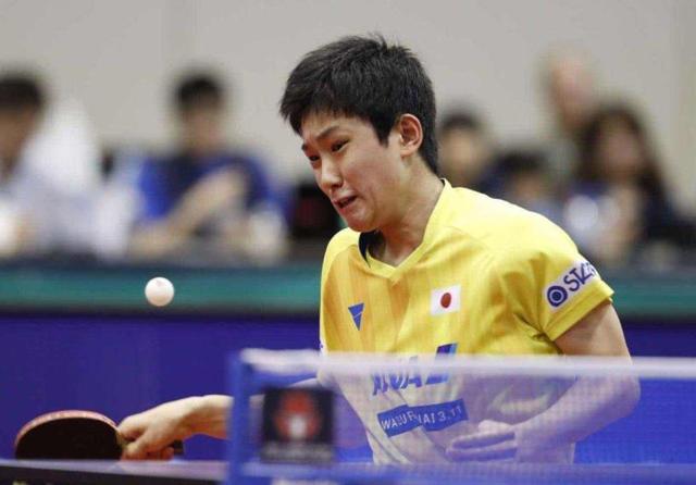 青训计划等 青训计划等